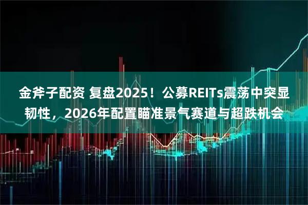 金斧子配资 复盘2025！公募REITs震荡中突显韧性，2026年配置瞄准景气赛道与超跌机会