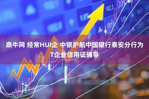鼎牛网 经常HUI企 中银护航中国银行泰安分行为T企业信用证辅导